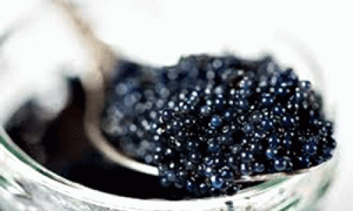 Liệu pháp AQUA trẻ hóa da với Caviar và Vàng